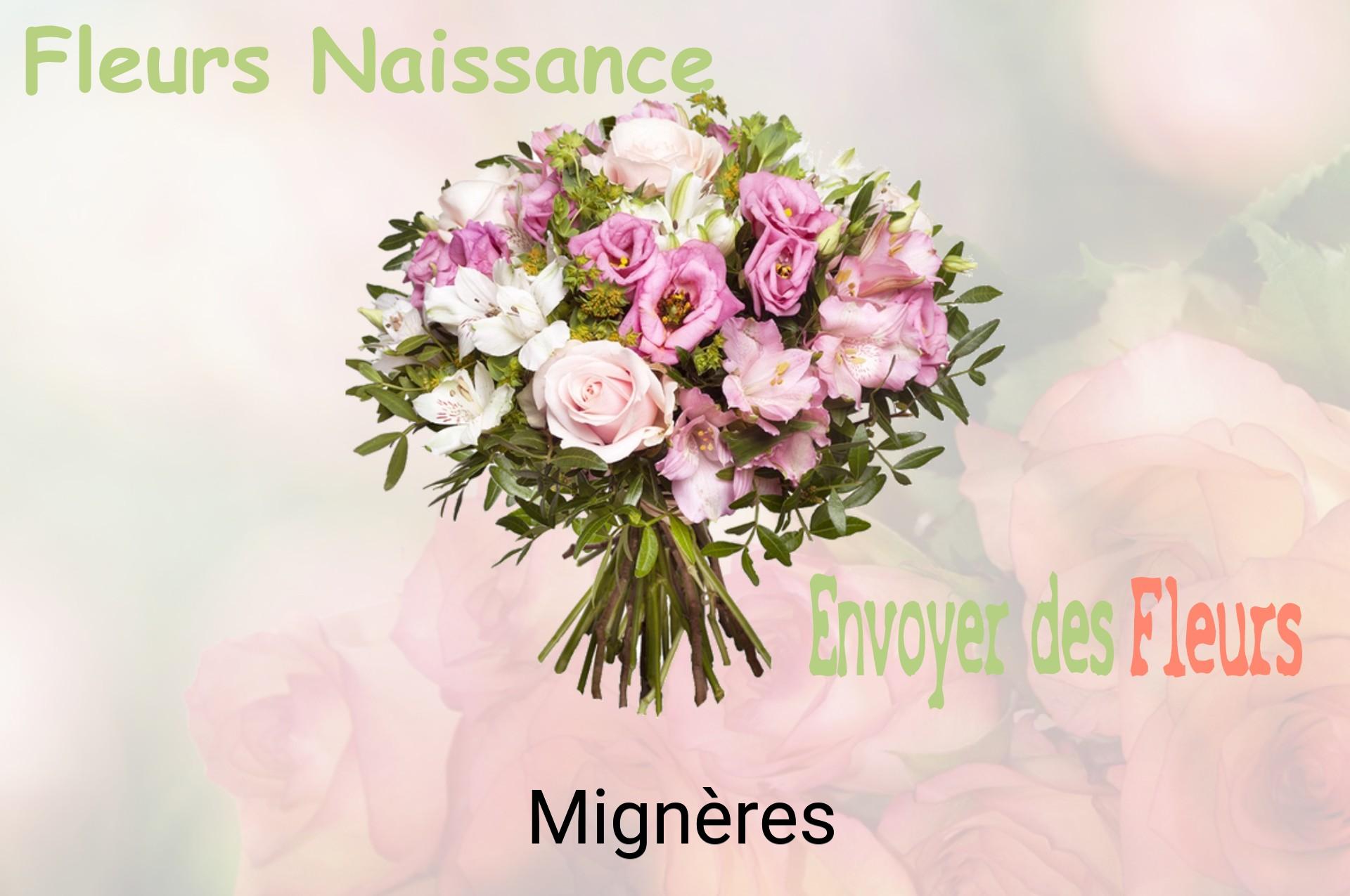 Bouquet de fleurs de naissance livré à Mignères